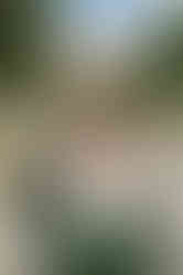 Zaria Grad Photos (19 of 22).jpg