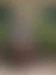 Zaria Grad Photos (18 of 22).jpg