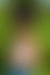 glaze-42.jpg