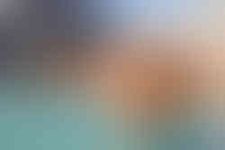Sharon Rooftop-21.jpg