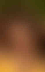 glaze-39.jpg