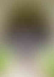 Zaria Grad Photos (12 of 22).jpg