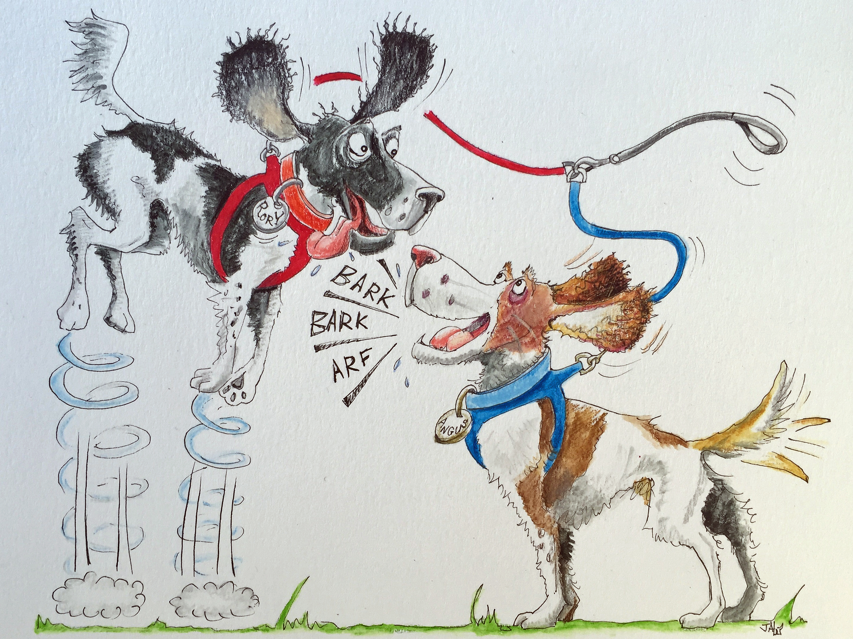 Springers!