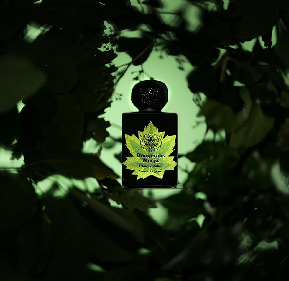 Miniatura: LORENZO PAZZAGLIA - Dangerous maryx