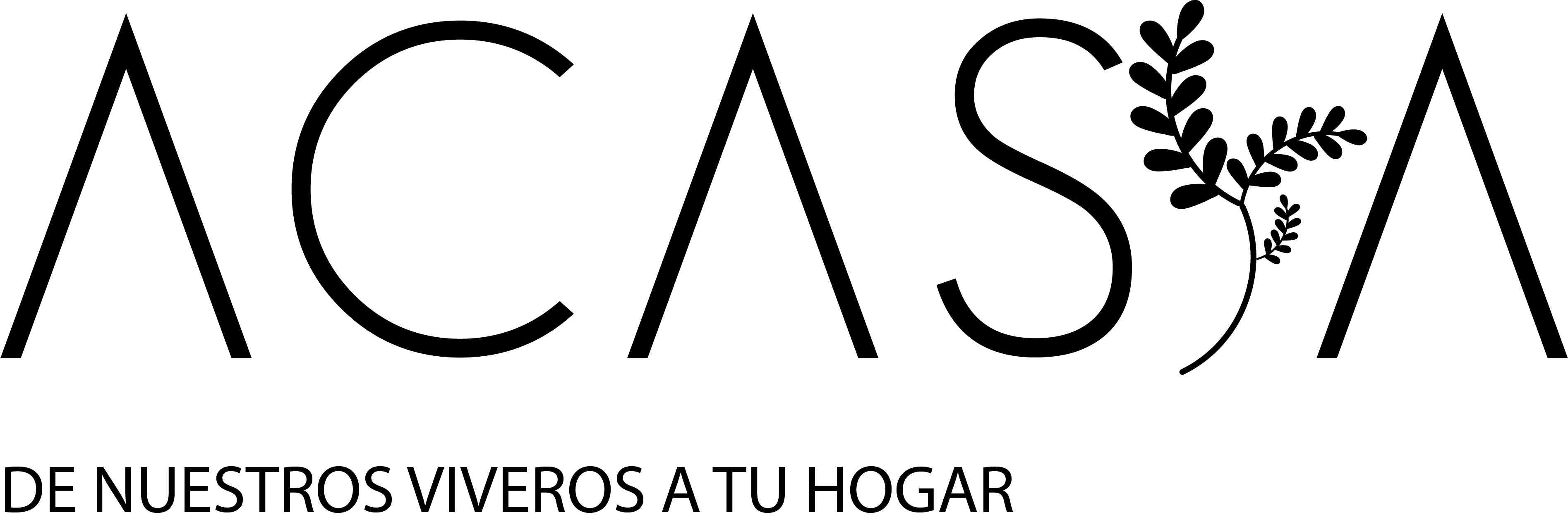Acasia México logo