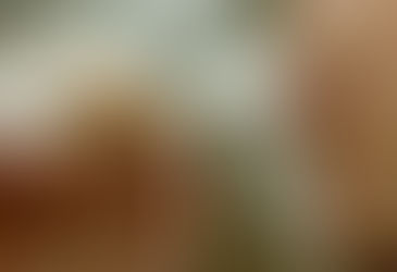 Drogas: Prazer ou consequência?