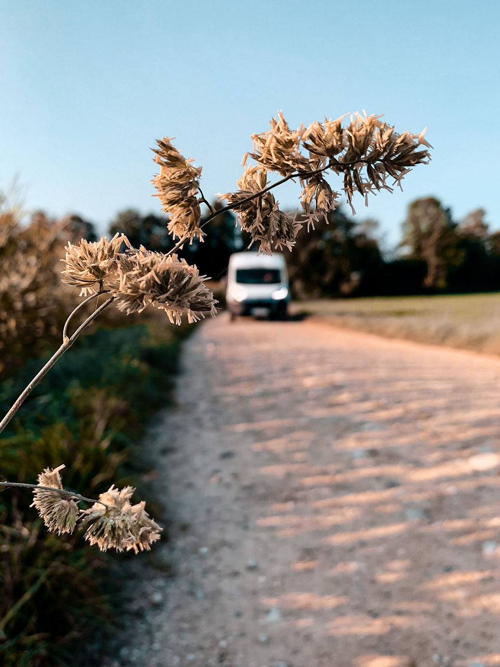 Folierung Carwrap Bayern Landvergnuegen