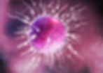 fecundacion in vitro