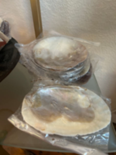 5 in-6 in Shell Incense Burner