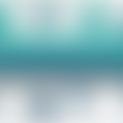 Documentary Infographic