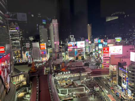 大都会の夜景、無料で見られる場所教えましょうか？