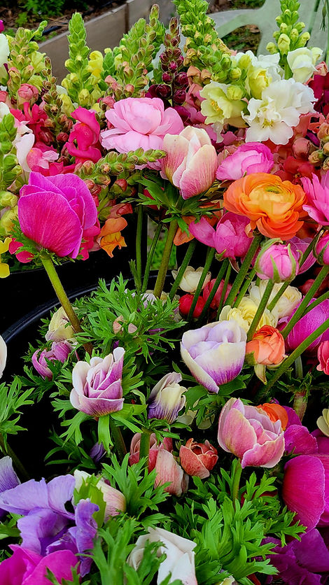 Locally grown flowers Houston TX