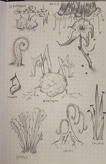 HAZE_flora.jpg