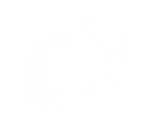 IGDA_LOGO_WHITE.png