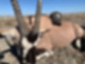 IMG_2262.JPEG