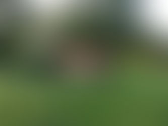 🆕 NEWS ️🆙️