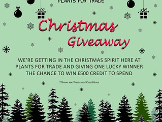 Christmas Giveaway