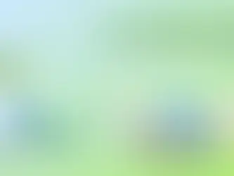 Top Ecommerce Development Company in Delhi – Build Your Online Store with Caps Global