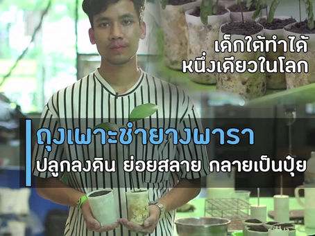 "ถุงเพาะชำ จากยางพารา"