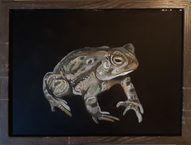 Toad
