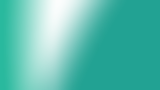 studza-big-bg_edited_edited.png