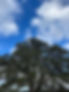 IMG_3486.jpeg