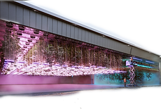 Screenshot 2026-01-26 at 10.38_edited.png