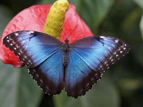 Allow Time for Your Soul to Mature