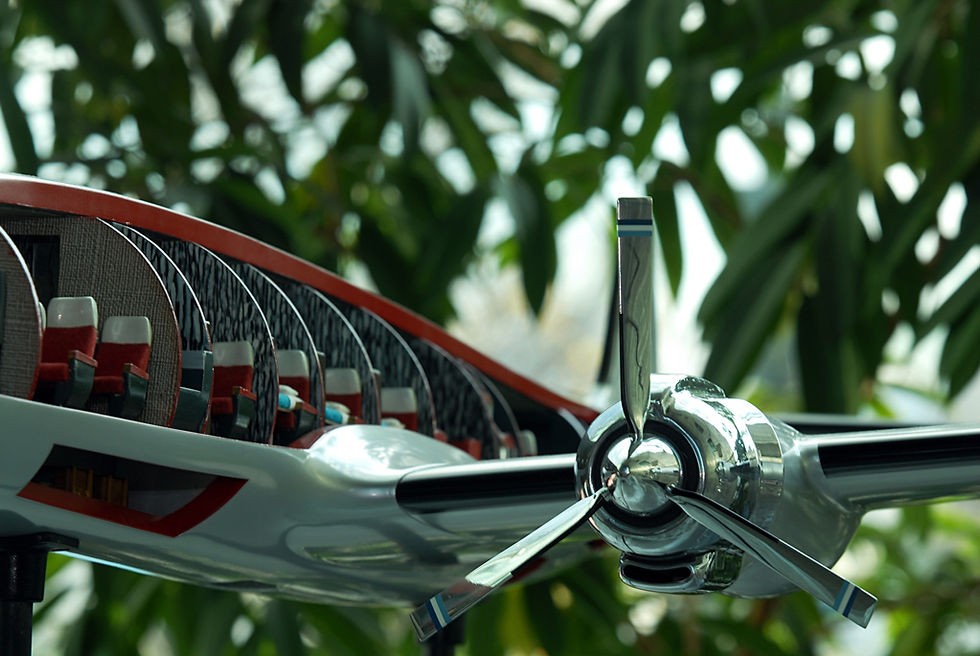 Toute ma vie, j'ai rêvé - DGAC