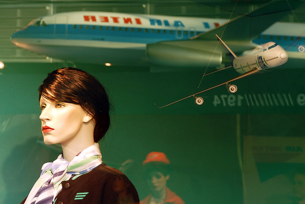 Toute ma vie, j'ai rêvé - DGAC