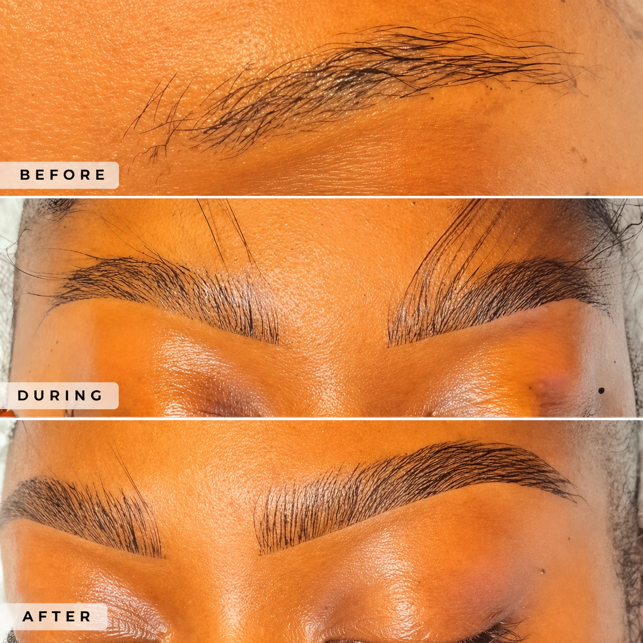 Extension Brow Kit