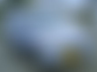 上田市に移住され自動車の運転が怖くて困ってしまった２０代の女性