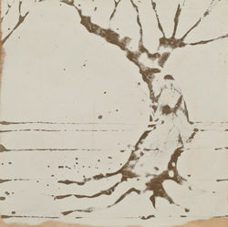 serie bianca: architetture ed alberi