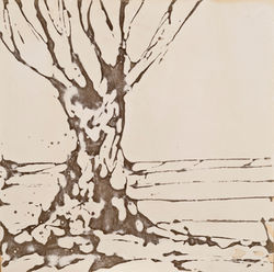 serie bianca: architetture ed alberi