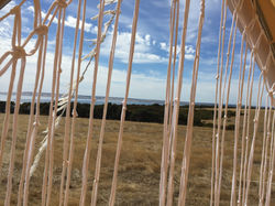 Coastal Farm campsite 1