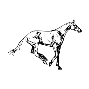 2526324651_1.gif