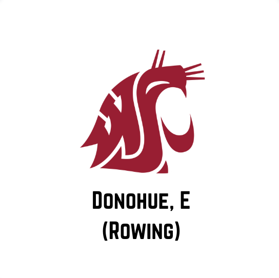 Screenshot 2025-12-29 at 4.14.58 PM