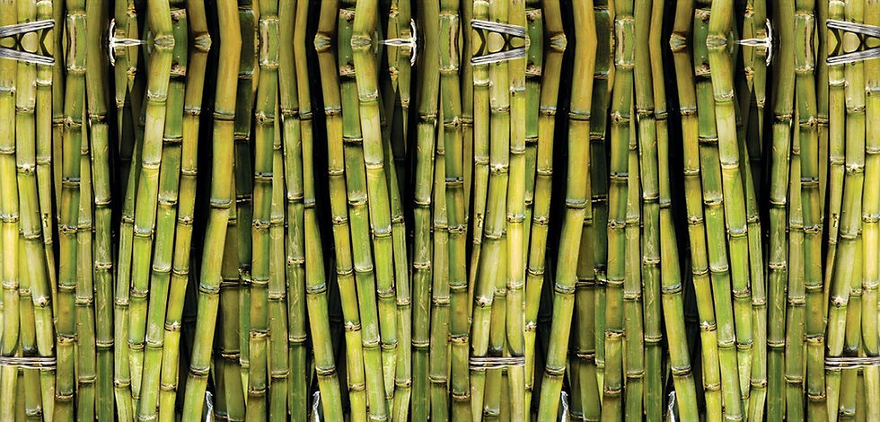 Extreme-HalfWall-Inside_edited.jpg