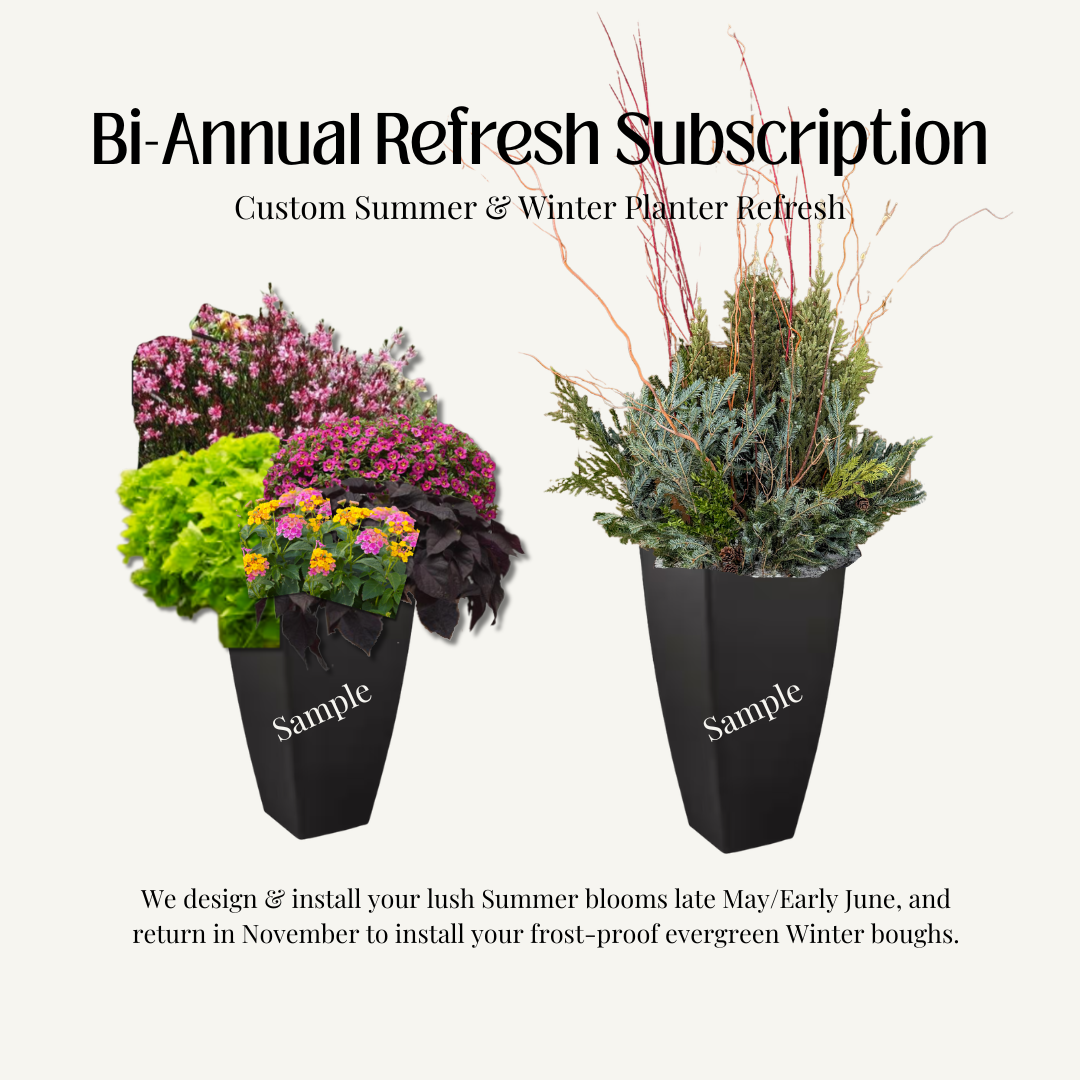Bi-Annual Planter Refresh (Summer & Winter)