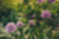 164TerraSuraPhotography-SarahNickelBranding5x7-8752.jpg