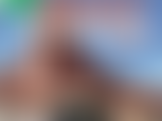 VSSI Headlines PAVEMENT PRESERVATION JOURNAL