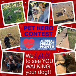 Be Your Pet's Heart Hero! Winners Announced
