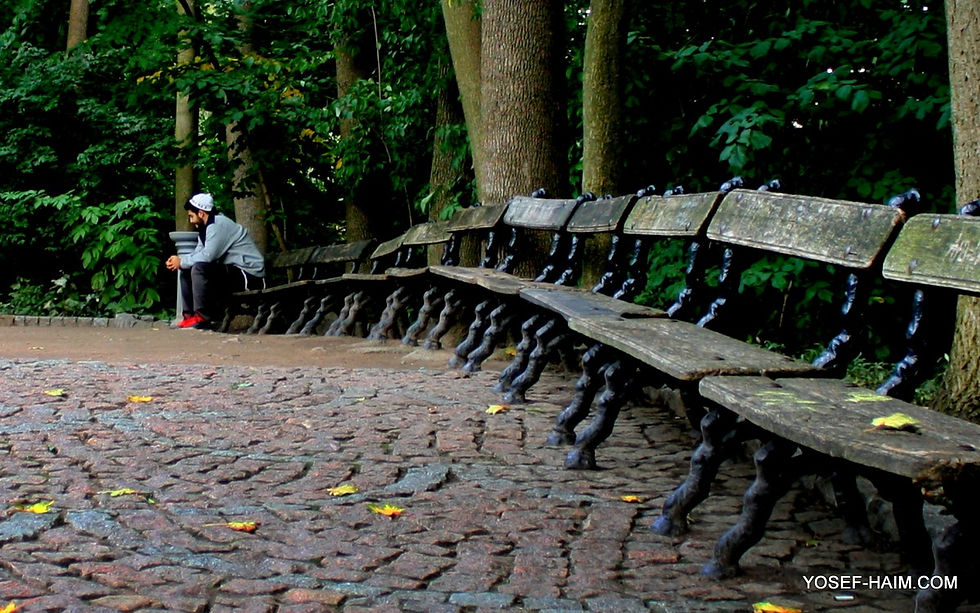 Thumbnail: אומן Uman