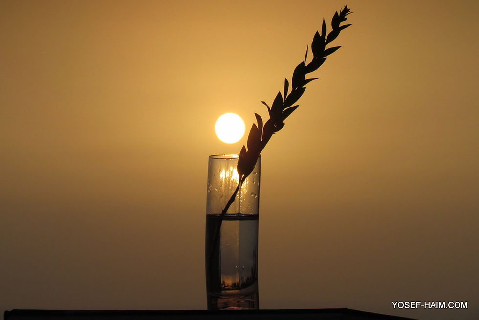 Thumbnail: זריחות שקיעות Sunrises and sunsets