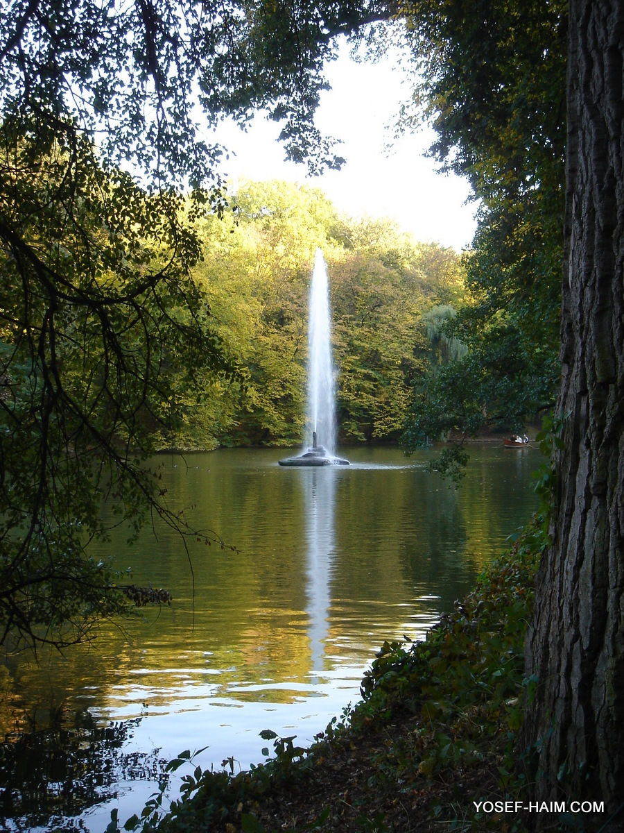 Thumbnail: אומן Uman