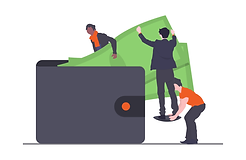 undraw_wallet_aym5 (1).png