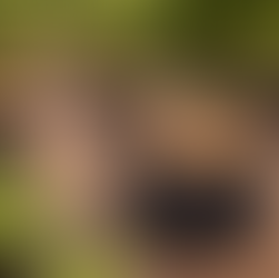 coir weed control mat mulch mat weed barrier around tree base replacing plastic landscape fabric