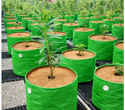 coir weed control mat mulch mat weed barrier around tree base replacing plastic landscape fabric