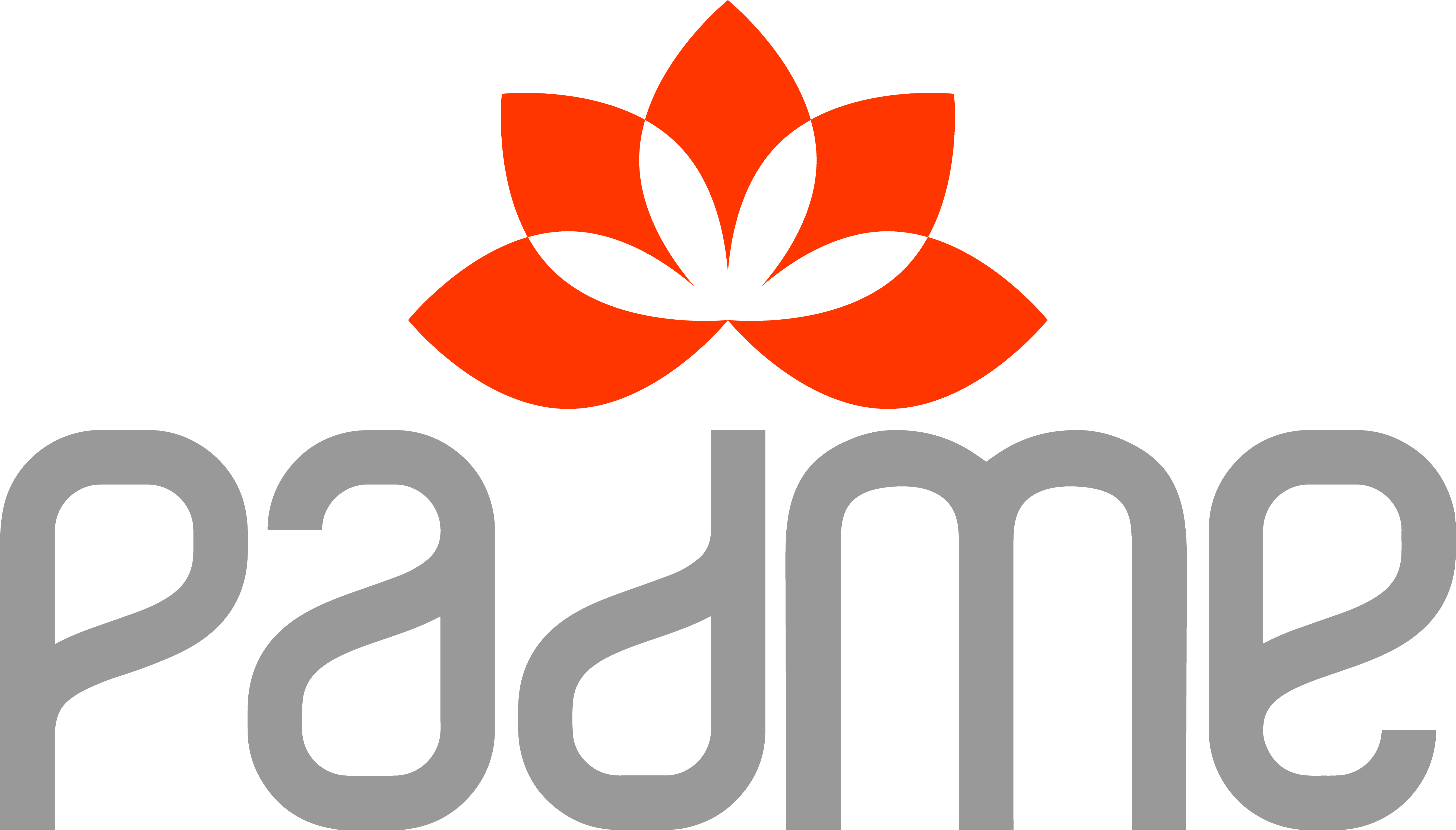 The Padme Company