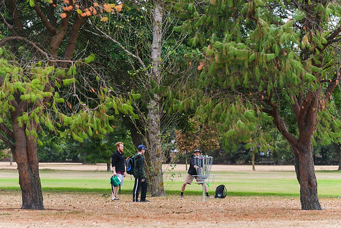 WarrenParkDGC01.jpg